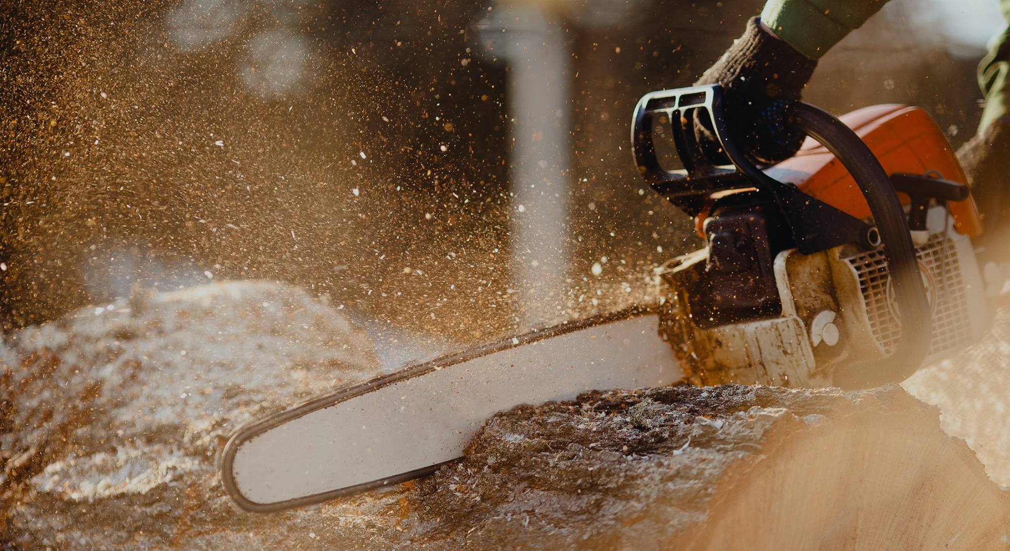 Chainsaw cutting through a tree trunk