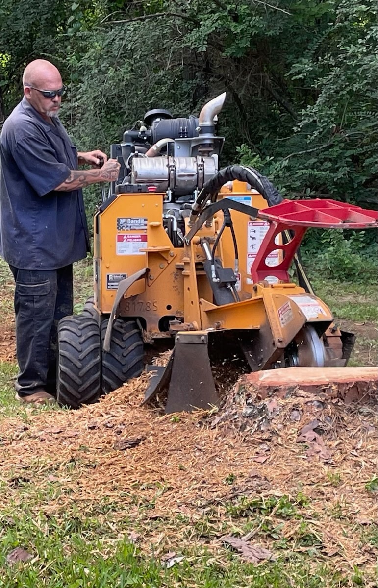 PLM operator running a Bandit stump grinder, chipping a stump below ground level